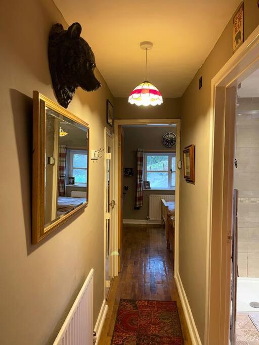 Bear Cottage, Tyn Y Cwm Eglwys-Fach Extérieur photo
